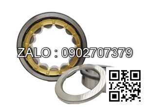 Vòng bi NUP248M 240x440x72