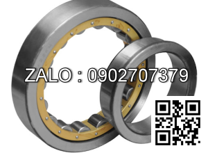 Vòng bi NJ1060M 300x460x74
