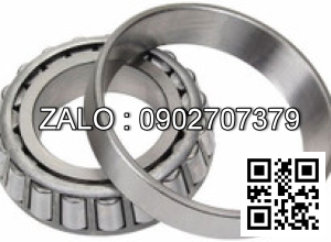 Vòng bi Rnn36x3v 85x121x60