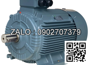 Motor 3 pha 0.75 kW 1HP YSTP YUNG SHUN ( Cốt âm )