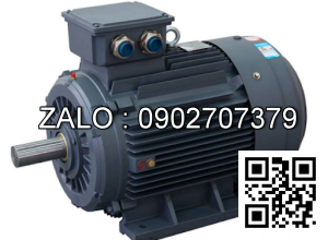Motor 3 pha 380V giảm tốc 1/400 TECO