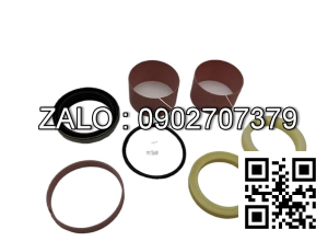 SEAL KIT 5042362-29 YT