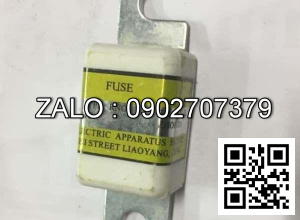 Cầu chì 250A 150V