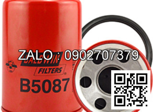 Lọc Baldwin B5087