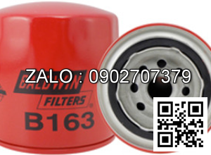 Lọc Baldwin B163
