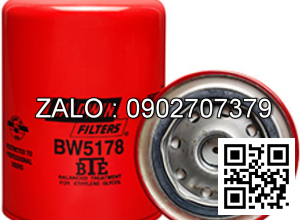 Lọc Baldwin BW5178