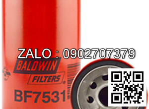 Lọc Baldwin BF7531