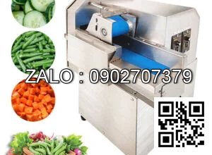 Máy Thái Rau Củ Quả Băng Tải