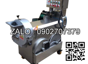 Máy thái rau củ quả công nghiệp đa năng HZ100