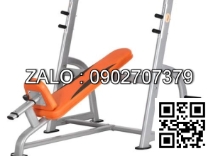 Khung tập đùi sau VGB6503