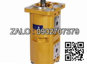 Bơm thủy lực CBQL-E563/F550-CFH