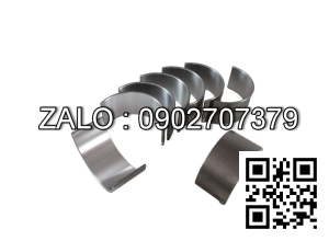 Bộ miễng dên , Miễng cốt máy cos +0.75 động cơ HATZ E785-2046 , CYL , CM3