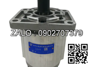 Bơm thủy lực CBN-F306