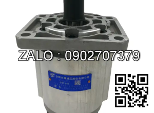 Bơm thủy lực CBN-F310